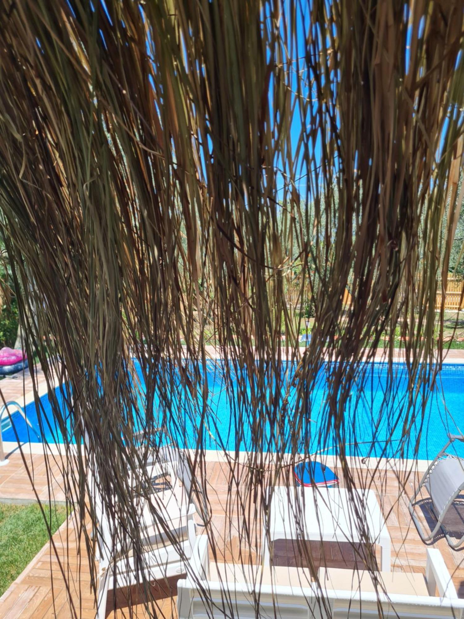 Villa Antik House İznik Exterior foto